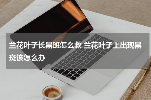 兰花叶子长黑斑怎么救 兰花叶子上出现黑斑该怎么办