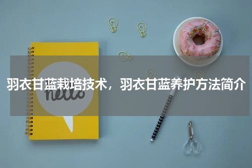 羽衣甘蓝栽培技术，羽衣甘蓝养护方法简介