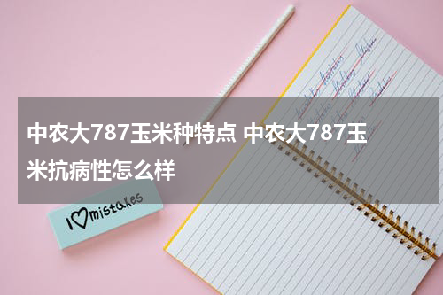 中农大787玉米种特点 中农大787玉米抗病性怎么样