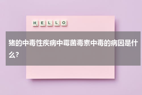 猪的中毒性疾病中霉菌毒素中毒的病因是什么？