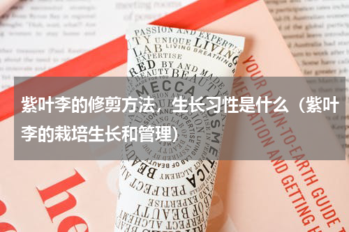 紫叶李的修剪方法，生长习性是什么（紫叶李的栽培生长和管理）