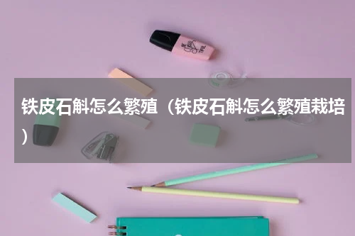 铁皮石斛怎么繁殖（铁皮石斛怎么繁殖栽培）