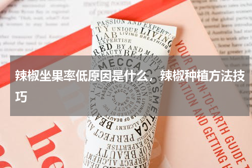 辣椒坐果率低原因是什么，辣椒种植方法技巧