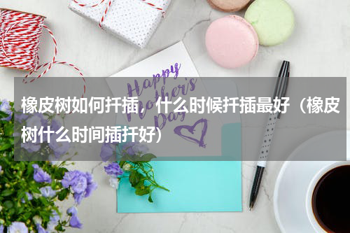 橡皮树如何扦插，什么时候扦插最好（橡皮树什么时间插扦好）