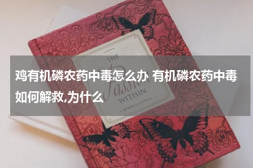 鸡有机磷农药中毒怎么办 有机磷农药中毒如何解救,为什么