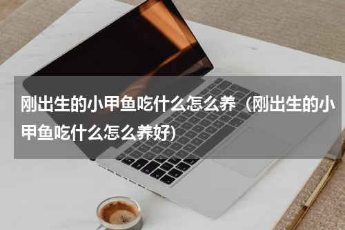 刚出生的小甲鱼吃什么怎么养（刚出生的小甲鱼吃什么怎么养好）