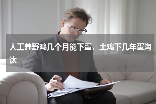 人工养野鸡几个月能下蛋，土鸡下几年蛋淘汰