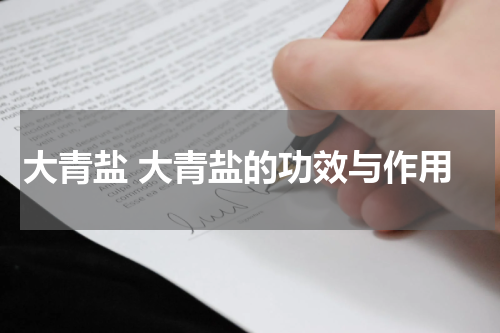 大青盐 大青盐的功效与作用