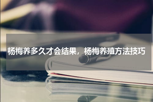 杨梅养多久才会结果，杨梅养殖方法技巧