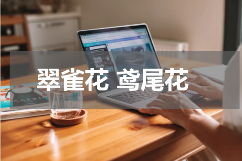 翠雀花 鸢尾花