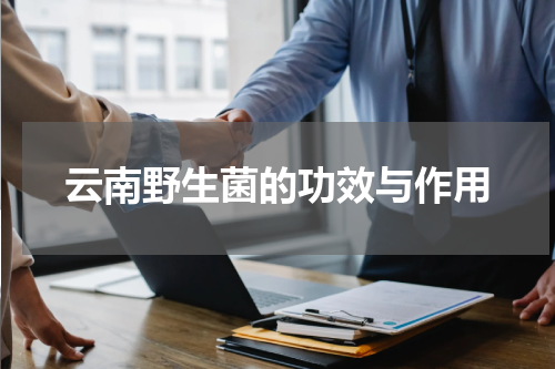 云南野生菌的功效与作用