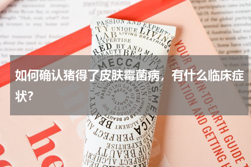 如何确认猪得了皮肤霉菌病，有什么临床症状？