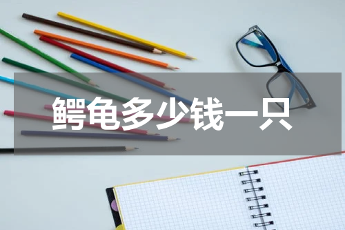 鳄龟多少钱一只