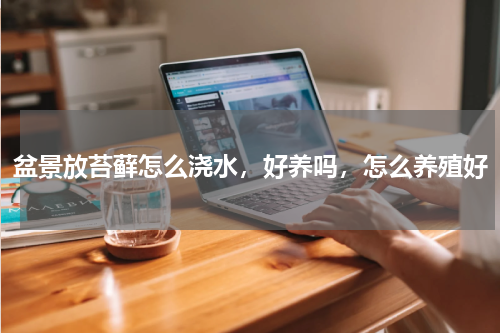 盆景放苔藓怎么浇水，好养吗，怎么养殖好