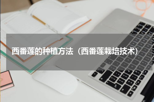 西番莲的种植方法（西番莲栽培技术）