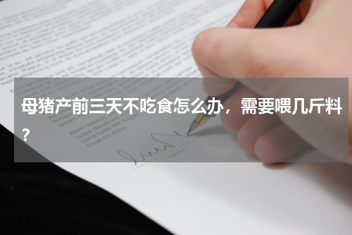 母猪产前三天不吃食怎么办，需要喂几斤料？
