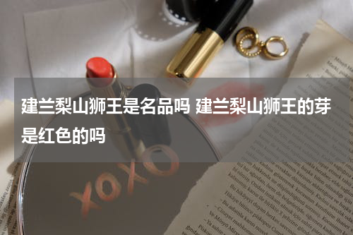 建兰梨山狮王是名品吗 建兰梨山狮王的芽是红色的吗