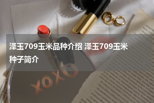 泽玉709玉米品种介绍 泽玉709玉米种子简介