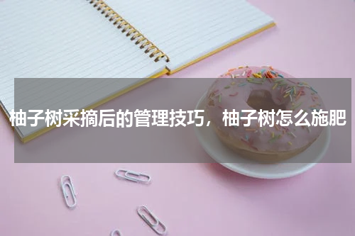 柚子树采摘后的管理技巧，柚子树怎么施肥