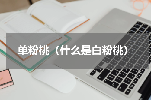 单粉桃（什么是白粉桃）