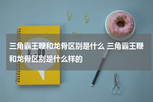 三角霸王鞭和龙骨区别是什么 三角霸王鞭和龙骨区别是什么样的