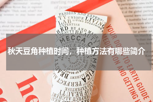 秋天豆角种植时间，种植方法有哪些简介