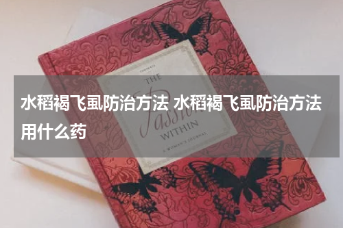 水稻褐飞虱防治方法 水稻褐飞虱防治方法用什么药