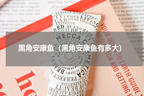 黑角安康鱼（黑角安康鱼有多大）