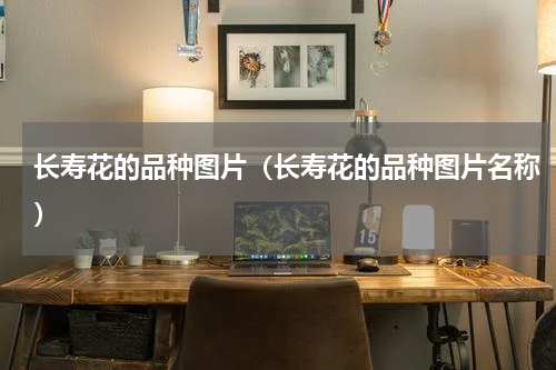 长寿花的品种图片（长寿花的品种图片名称）