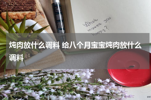 炖肉放什么调料 给八个月宝宝炖肉放什么调料