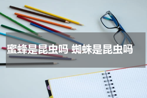 蜜蜂是昆虫吗 蜘蛛是昆虫吗