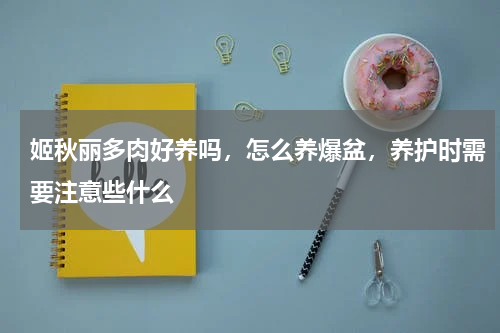 姬秋丽多肉好养吗，怎么养爆盆，养护时需要注意些什么
