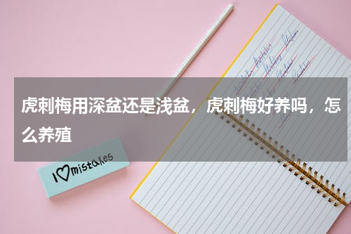 虎刺梅用深盆还是浅盆，虎刺梅好养吗，怎么养殖