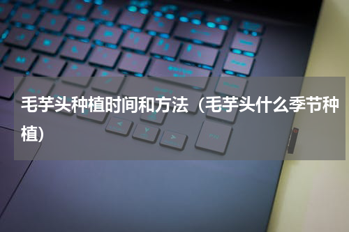 毛芋头种植时间和方法（毛芋头什么季节种植）