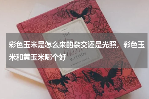 彩色玉米是怎么来的杂交还是光照，彩色玉米和黄玉米哪个好