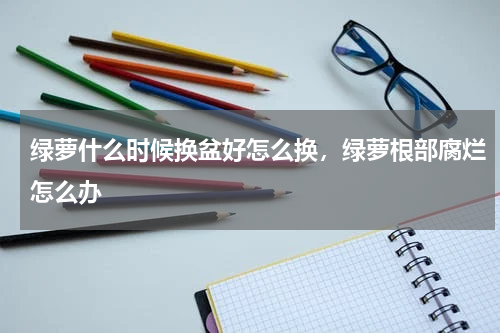 绿萝什么时候换盆好怎么换，绿萝根部腐烂怎么办