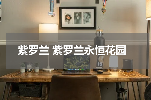 紫罗兰 紫罗兰永恒花园