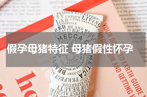 假孕母猪特征 母猪假性怀孕