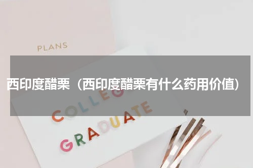 西印度醋栗（西印度醋栗有什么药用价值）