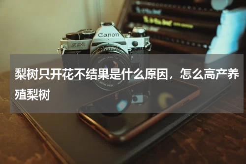 梨树只开花不结果是什么原因，怎么高产养殖梨树