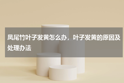 凤尾竹叶子发黄怎么办，叶子发黄的原因及处理办法