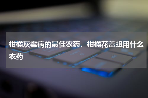 柑橘灰霉病的最佳农药，柑橘花蕾蛆用什么农药