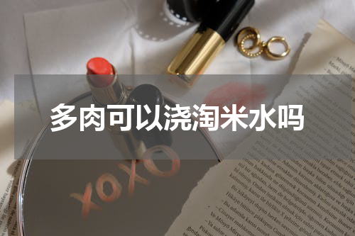 多肉可以浇淘米水吗