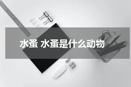 水蚤 水蚤是什么动物