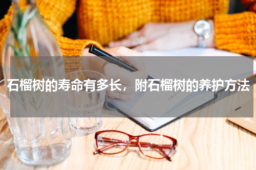 石榴树的寿命有多长，附石榴树的养护方法