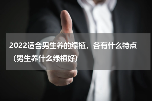 2022适合男生养的绿植，各有什么特点（男生养什么绿植好）