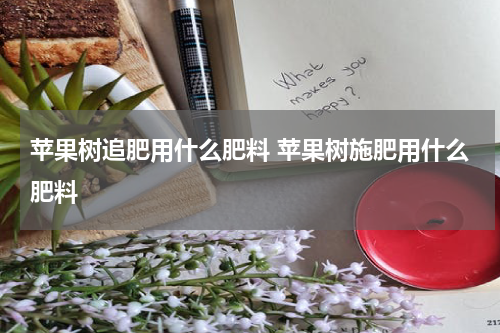 苹果树追肥用什么肥料 苹果树施肥用什么肥料
