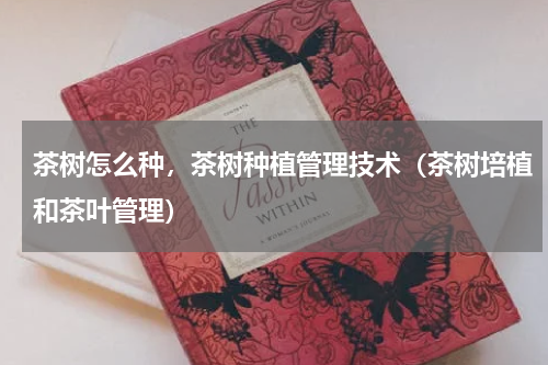 茶树怎么种，茶树种植管理技术（茶树培植和茶叶管理）