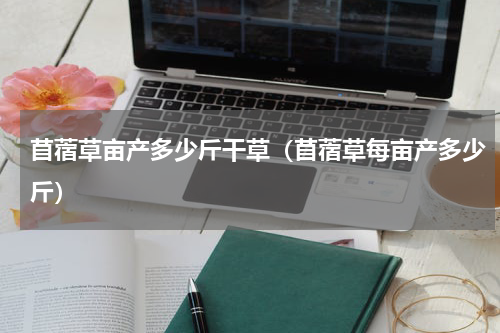 苜蓿草亩产多少斤干草（苜蓿草每亩产多少斤）