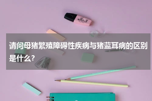 请问母猪繁殖障碍性疾病与猪蓝耳病的区别是什么？